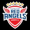 Hyundai Steel Red Angels(w)