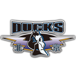 Zhejiang Golden Bulls