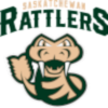 Winnipeg Sea Bears