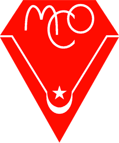 JS Saoura