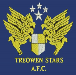 Treowen Stars