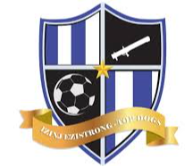 Tshwane South College FC