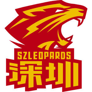 Shenzhen Leopards B