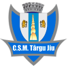 Municipal Galati